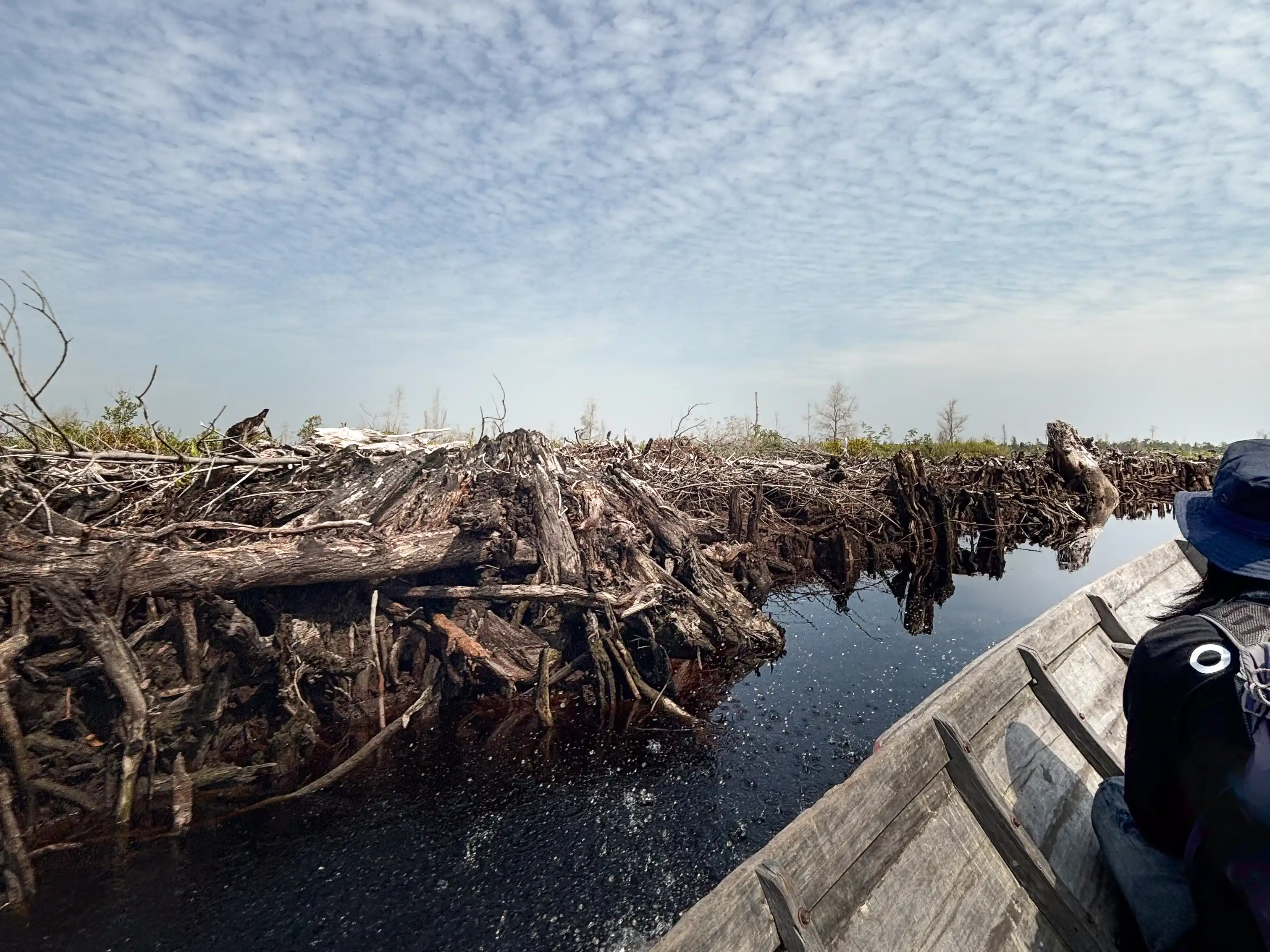 Hydrological Restoration